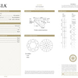 GIA Certified 1.04 Carat Diamond Platinum Engagement Ring