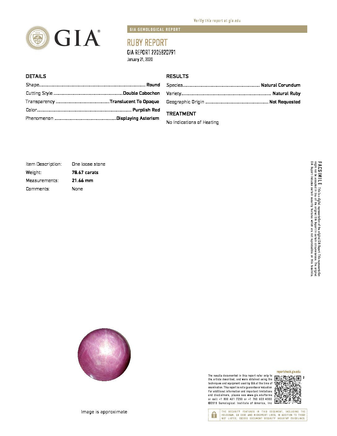 Gia Certified 78.67 Carat Star Ruby and Diamond Bombe 14K White Gold Ring