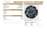 Platinum Diamond Stud Earrings