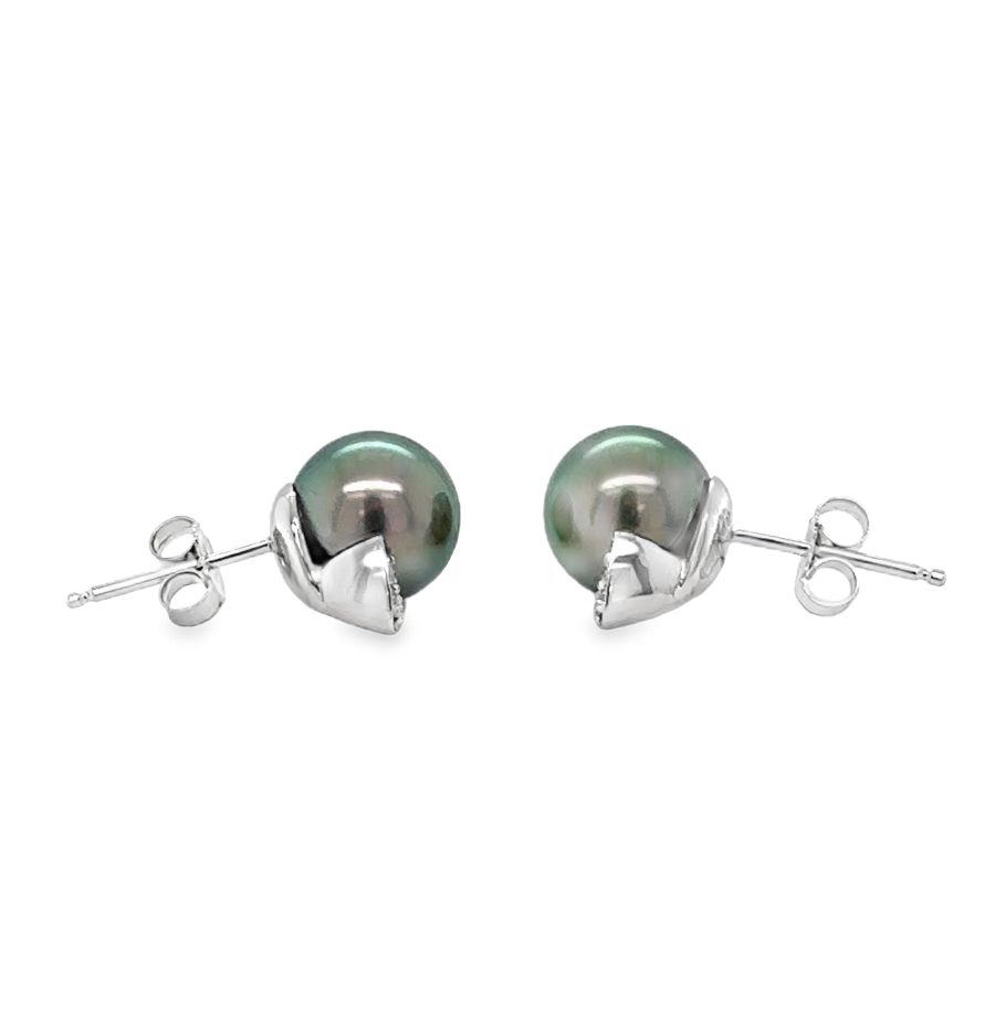 14K WHITE GOLD BLACK TAHITIAN PEARL STUD EARRINGS